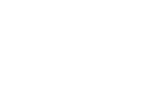 theHuskenDem_cuadrado